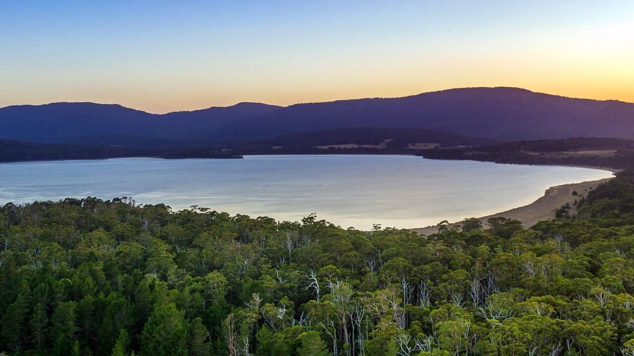 Photo of Others in South Bruny