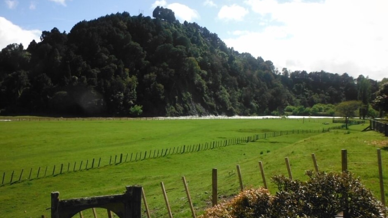 Photo of Others in Manunui