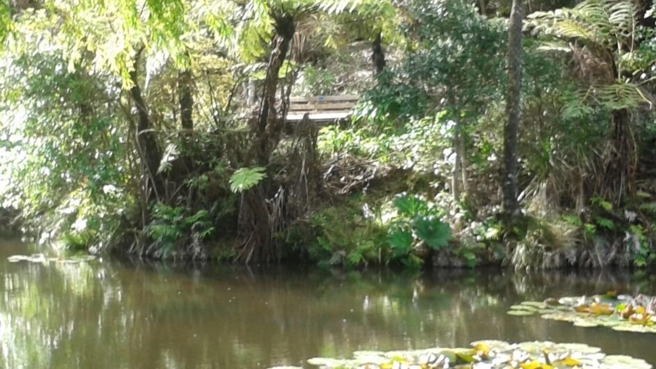 Photo of Outdoor in Onemana