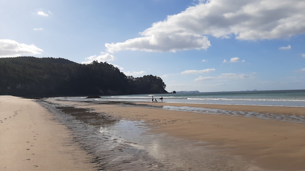 Photo of Others in Onemana