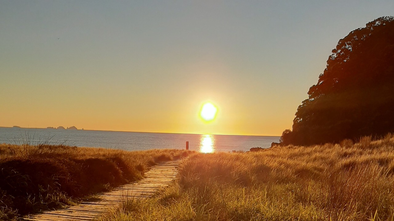 Photo of Others in Onemana