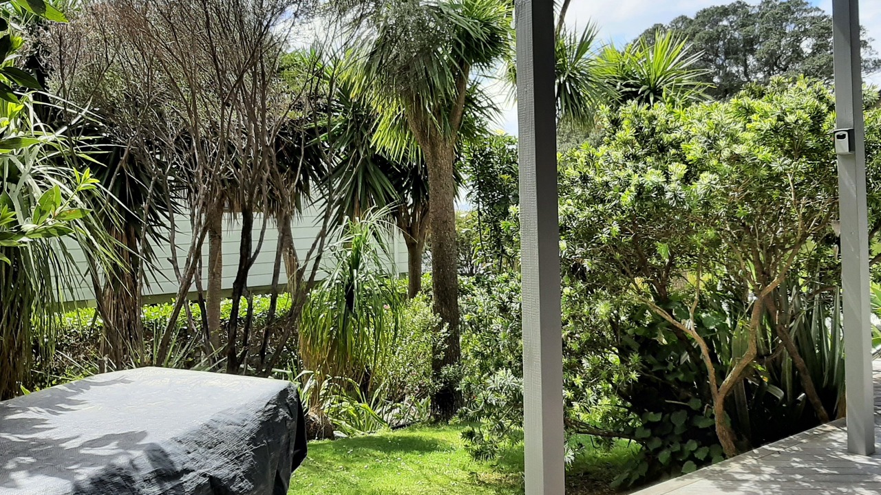 Photo of Outdoor in Onemana