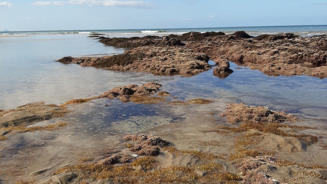 Photo of Others in Onemana