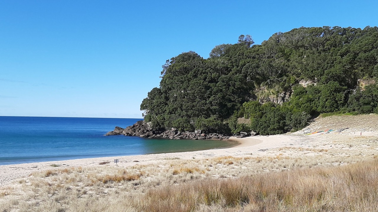 Photo of Others in Onemana