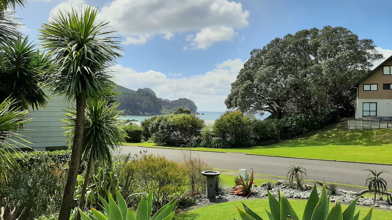 Photo of Outdoor in Onemana