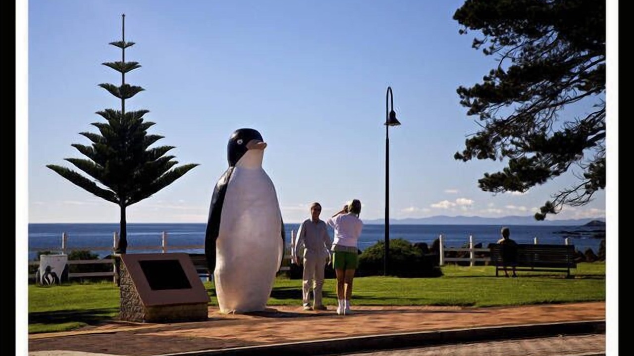 Photo of Others in Penguin