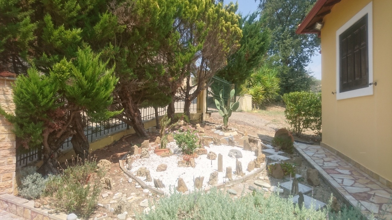Photo of Outdoor in Archaia Olympia