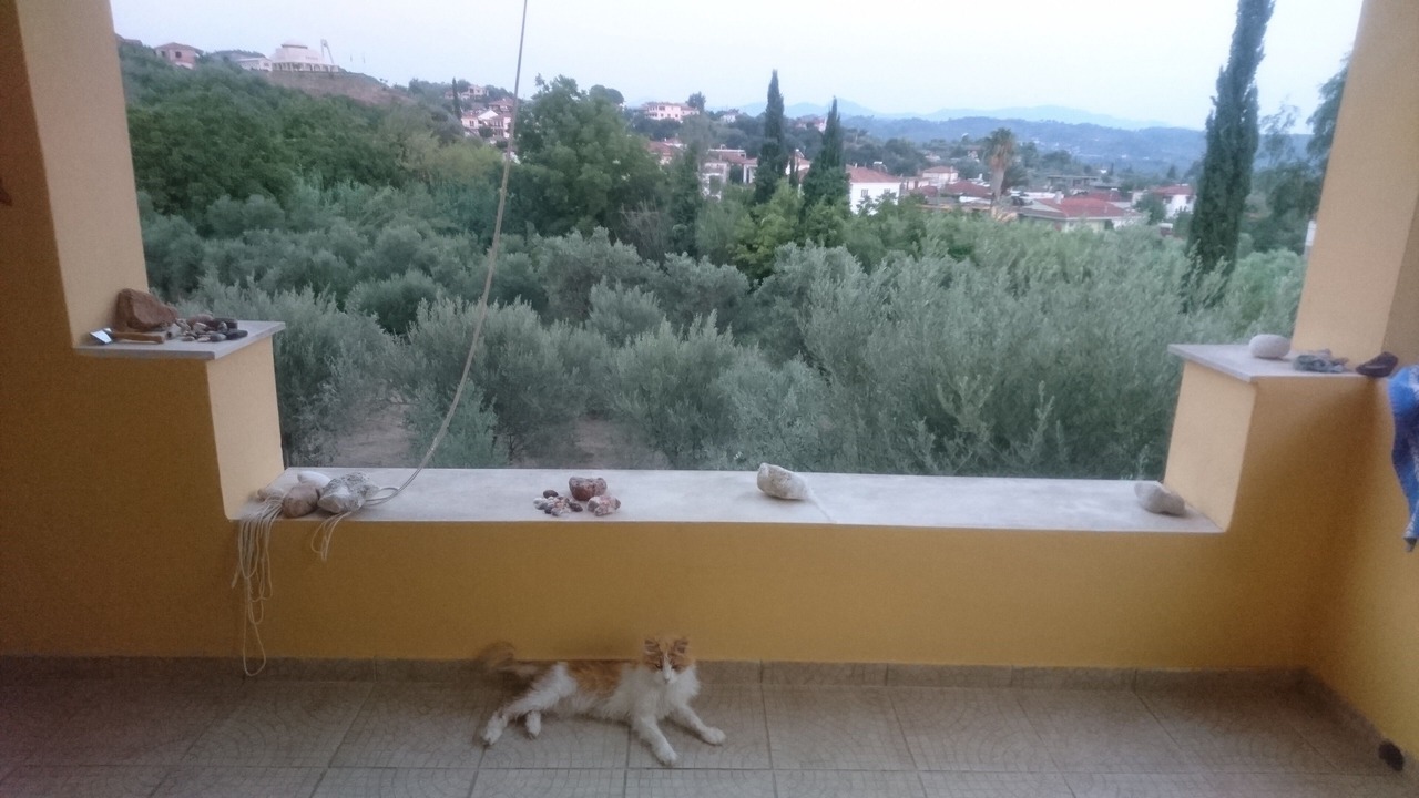 Photo of Outdoor in Archaia Olympia