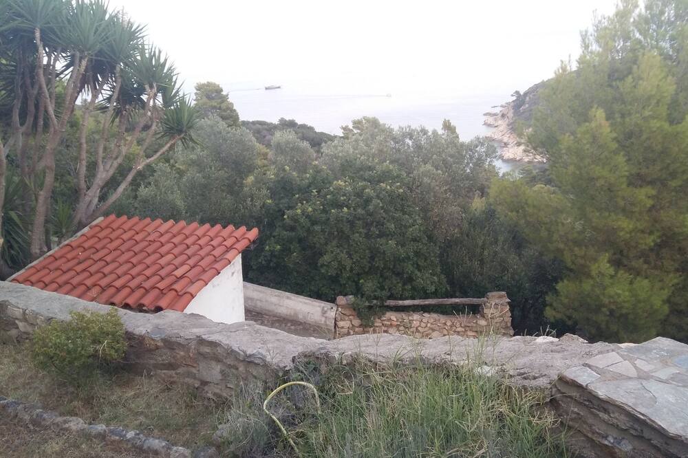 Photo of Others in Sithonia