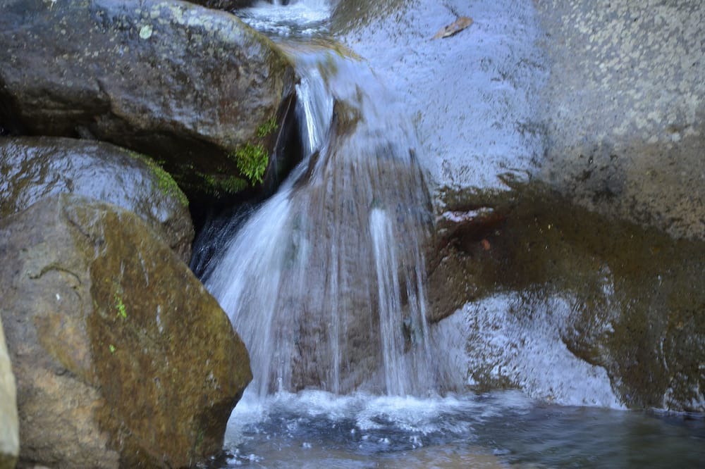 Photo of Outdoor in La Suiza