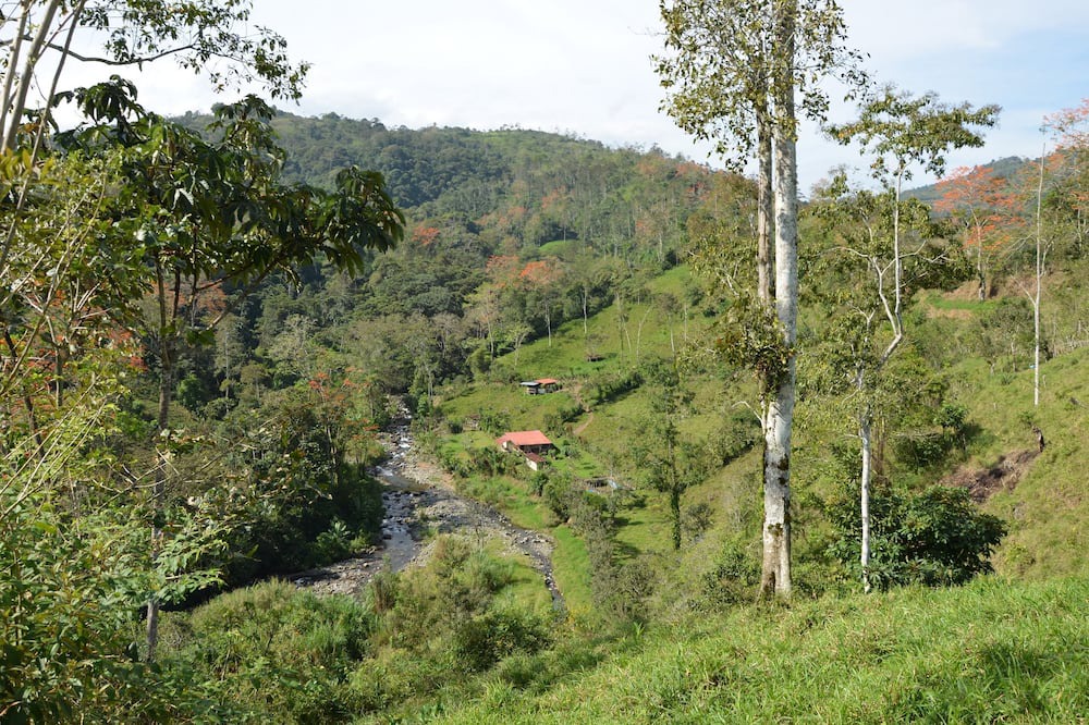 Photo of Outdoor in La Suiza