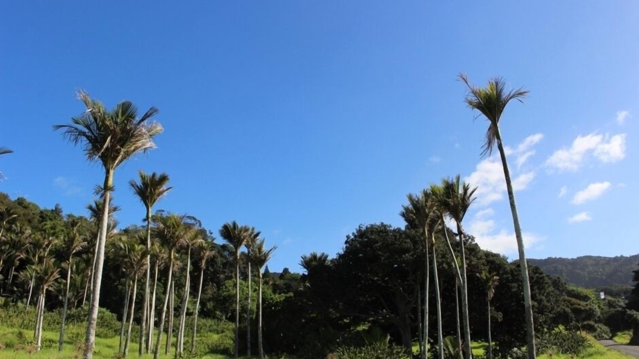 Photo of Outdoor in Tuateawa