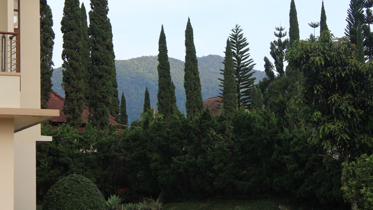 Photo of Outdoor in Cipanas