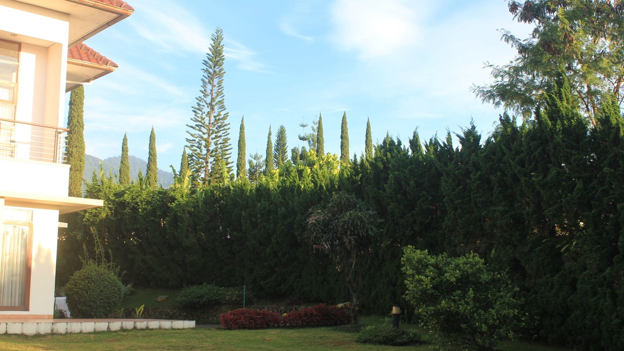 Photo of Outdoor in Cipanas