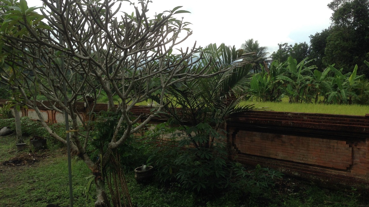 Photo of Outdoor in Selat
