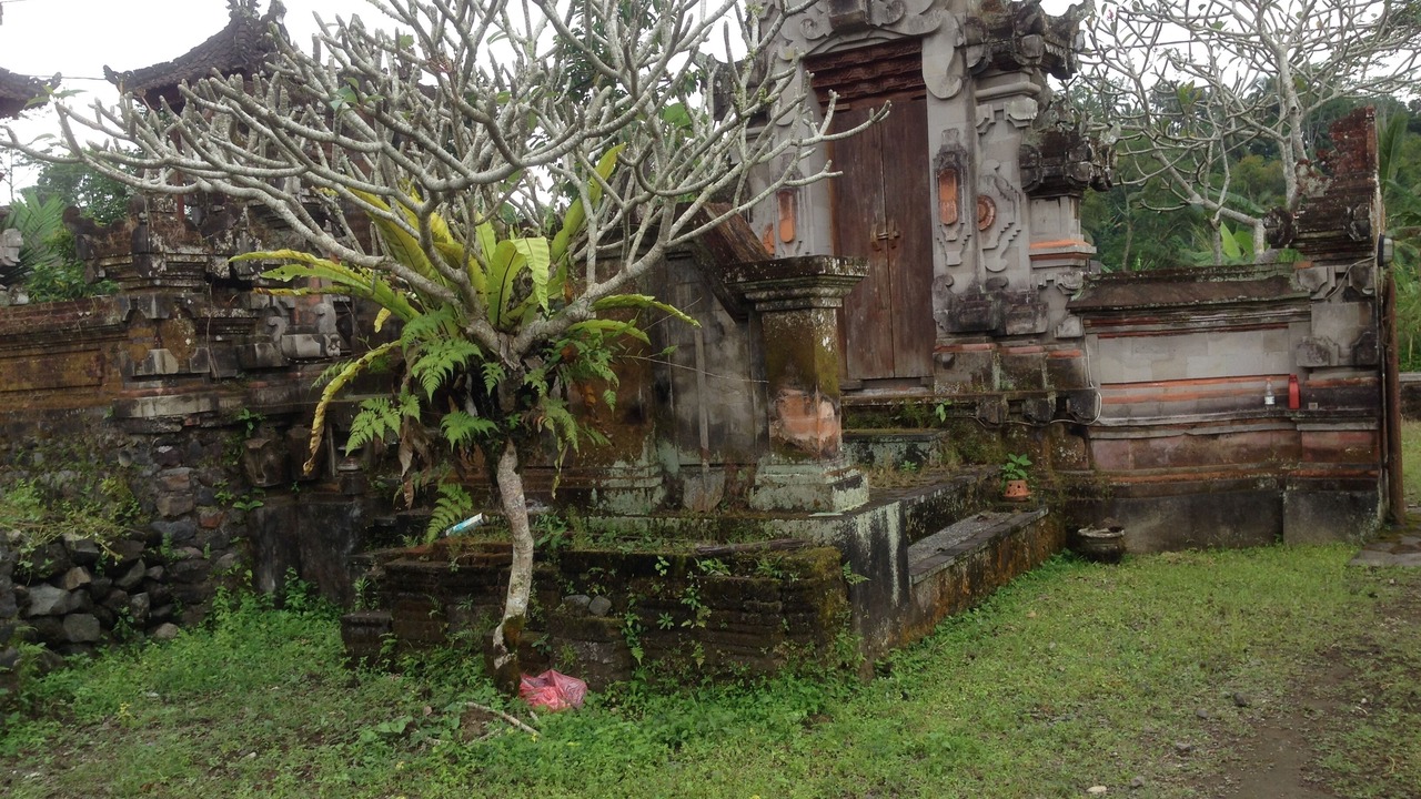 Photo of Outdoor in Selat