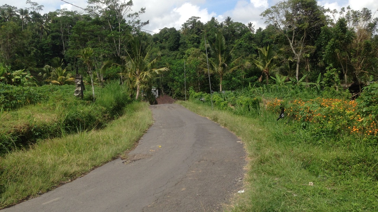 Photo of Outdoor in Selat