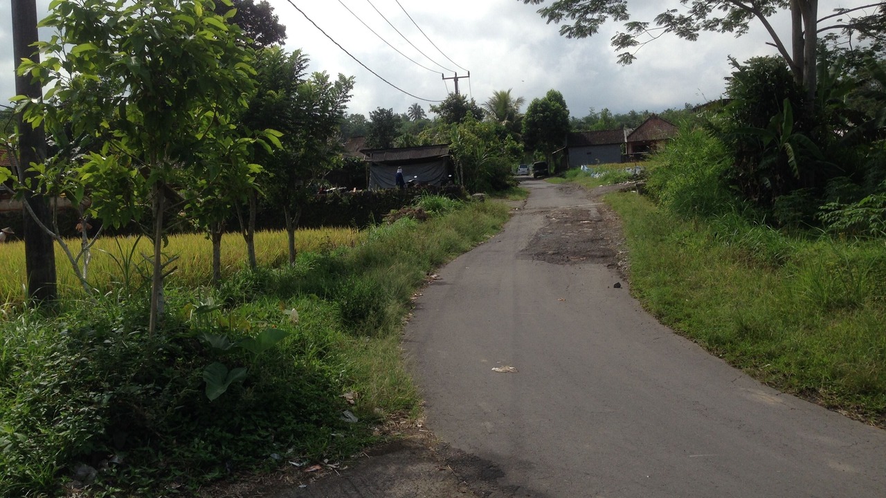 Photo of Outdoor in Selat