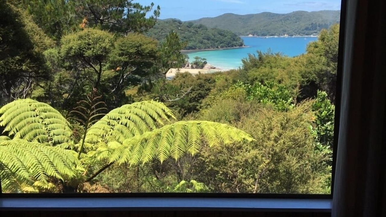 Photo of Others in Great Barrier Island