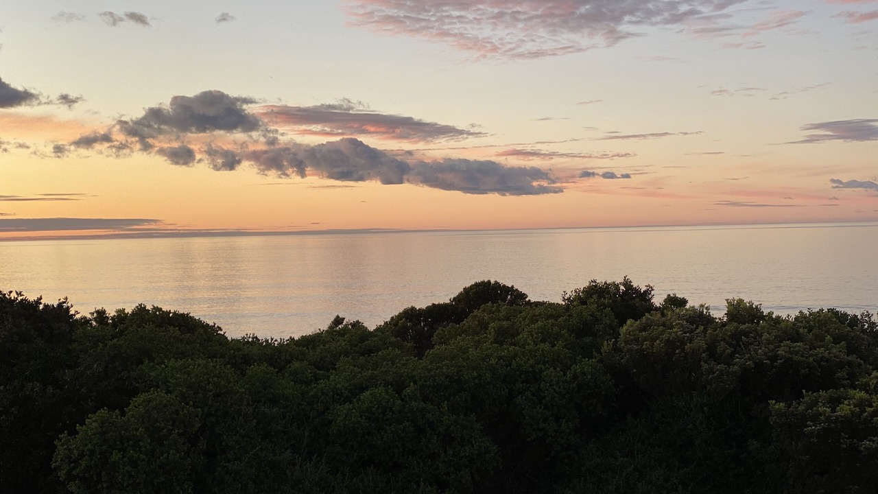 Photo of Others in Turners Beach