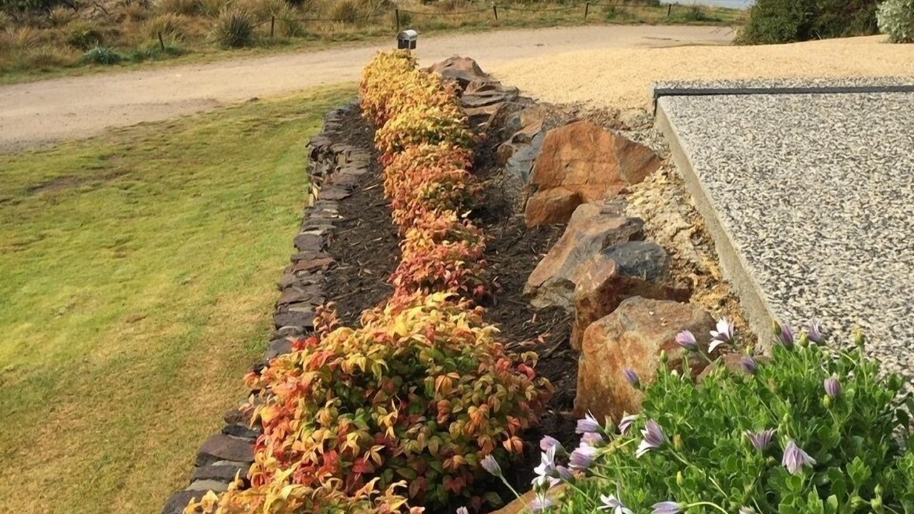 Photo of Outdoor in Swansea