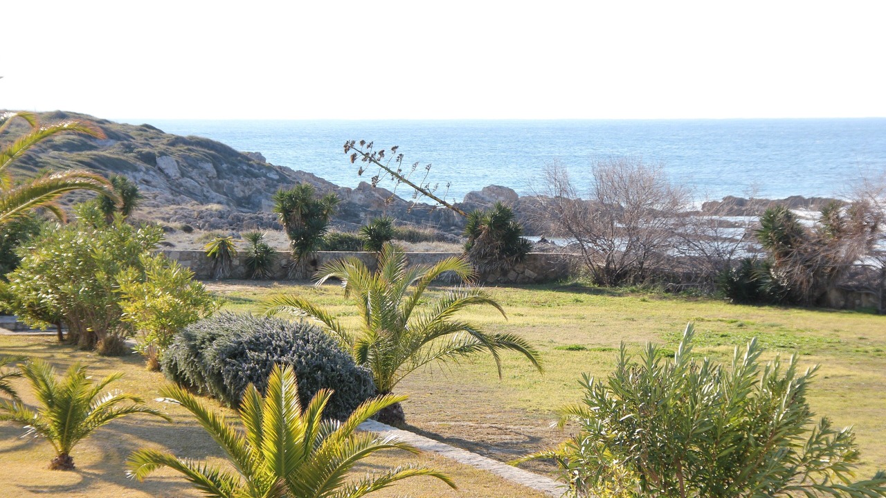 Photo of Others in Svoronata