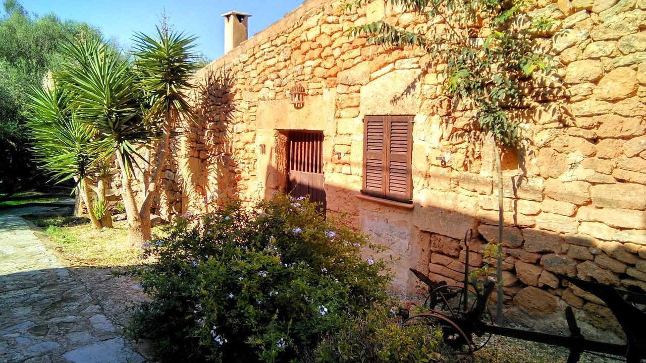 Photo of Others in Manacor