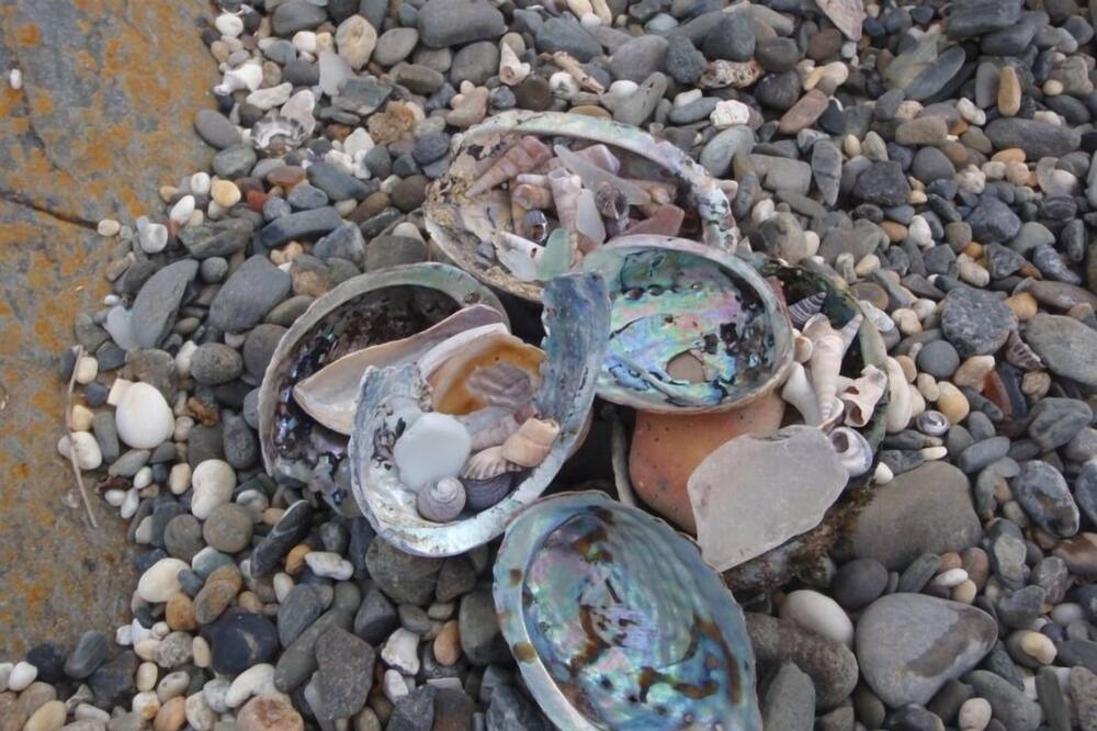 Photo of Others in Bluff