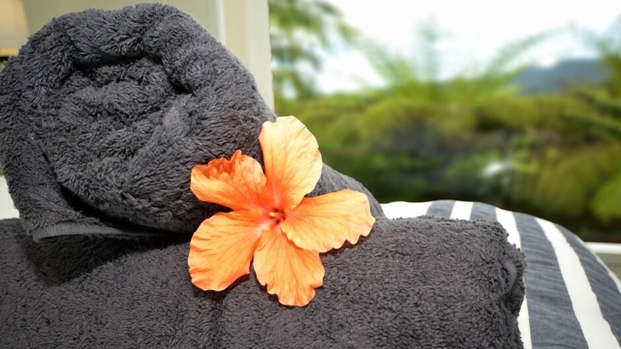 Photo of Others in Mangonui