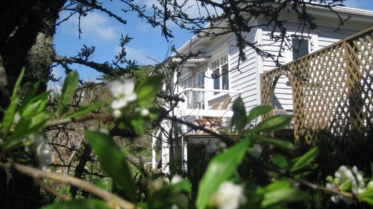 Photo of Outdoor in Oneroa