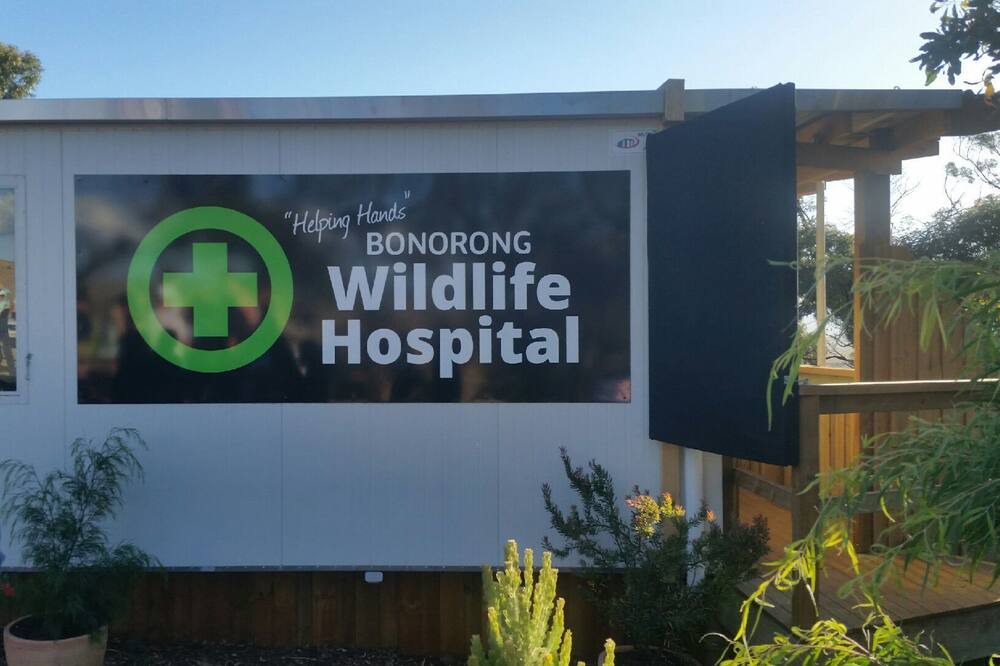 Photo of Outdoor in West Hobart