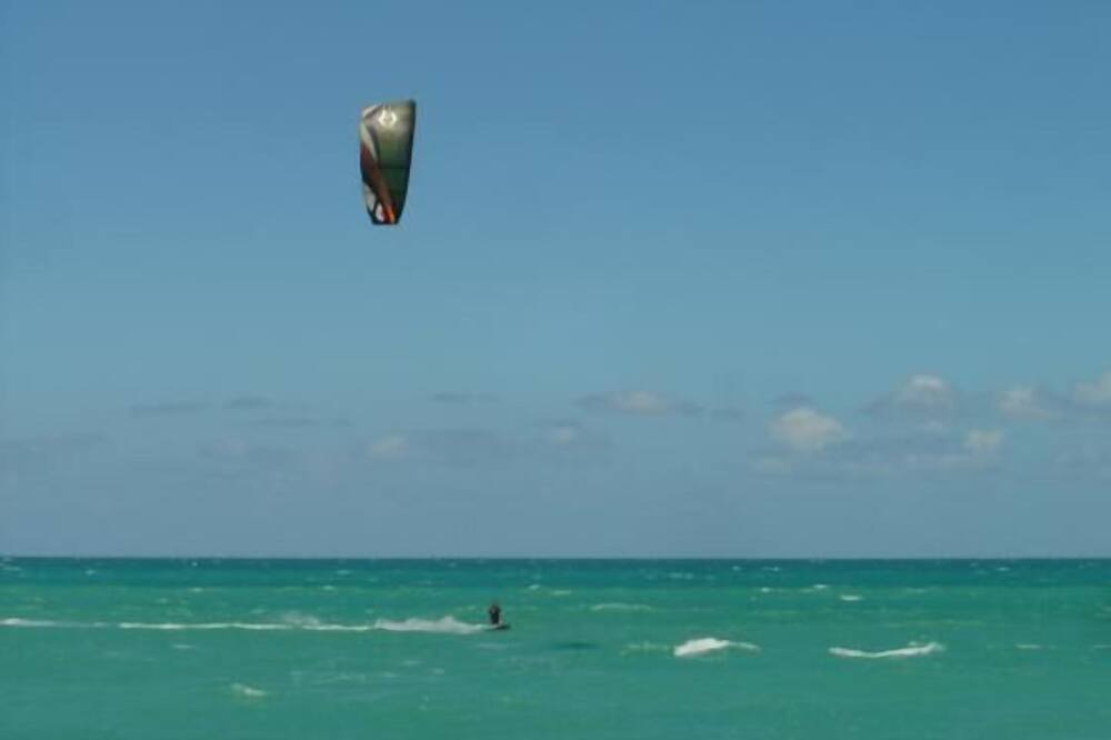 Photo of Others in Tokomaru Bay