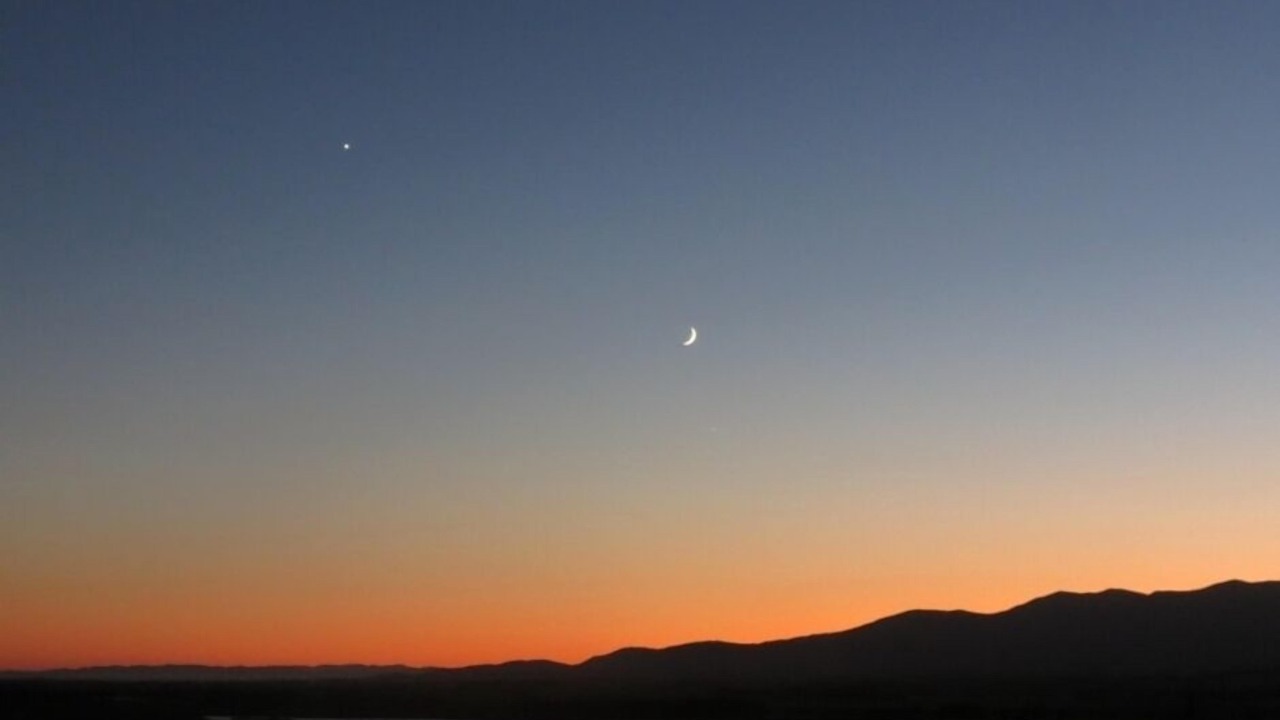 Photo of Others in Palliser Bay