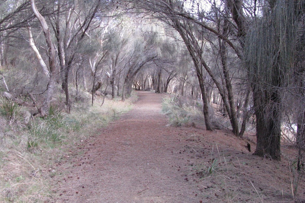Photo of Outdoor in Alonnah