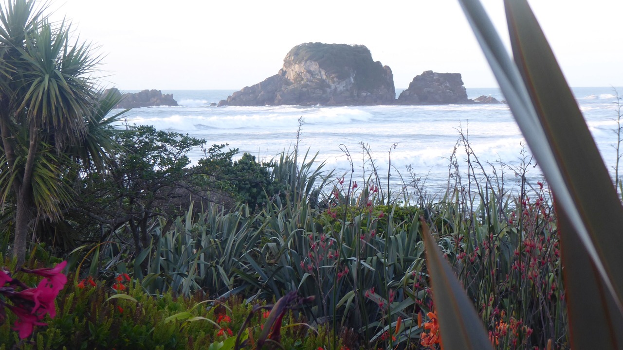 Photo of Others in Cape Foulwind