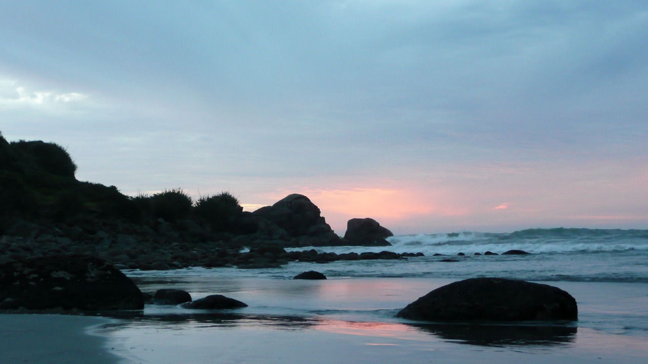Photo of Others in Cape Foulwind