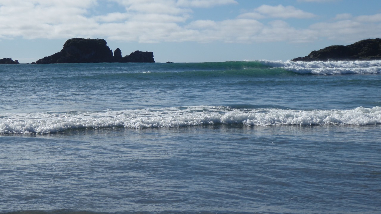 Photo of Others in Cape Foulwind