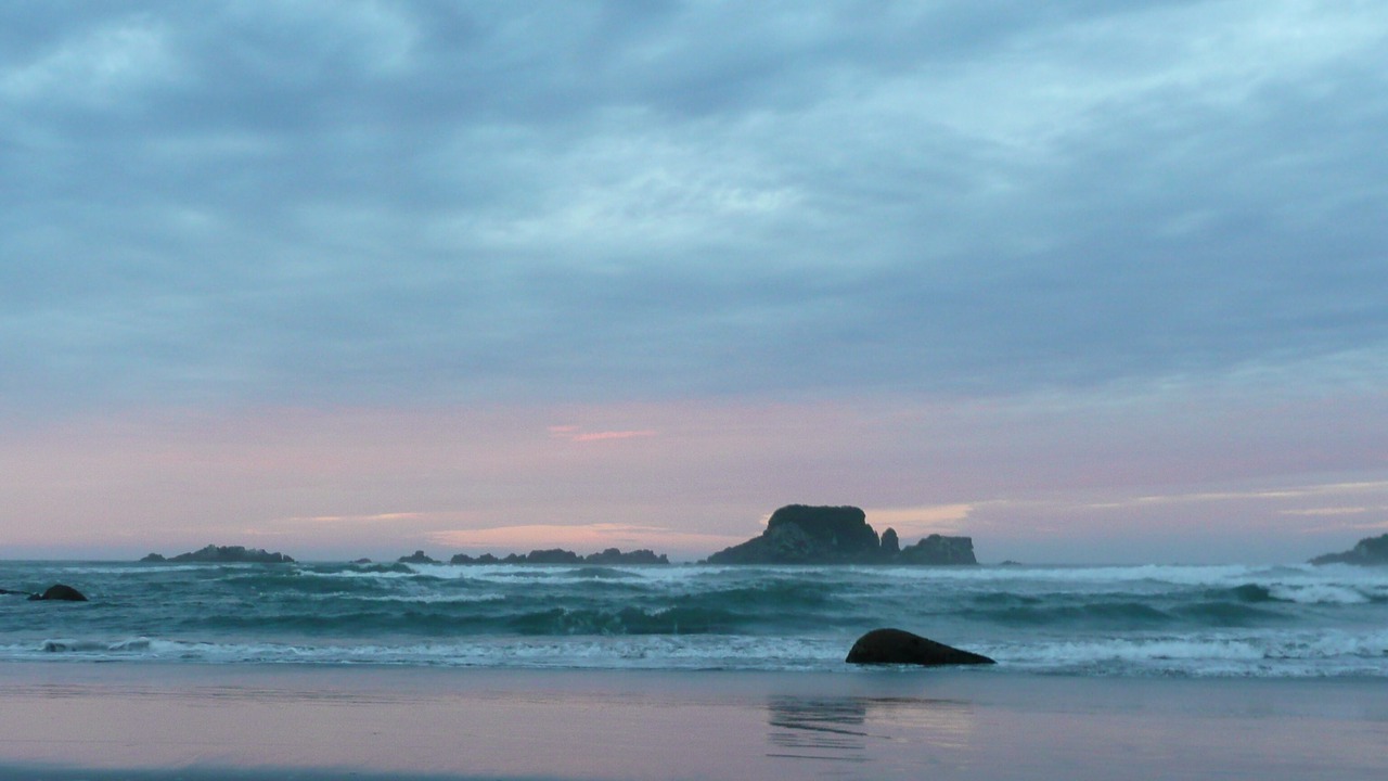 Photo of Others in Cape Foulwind