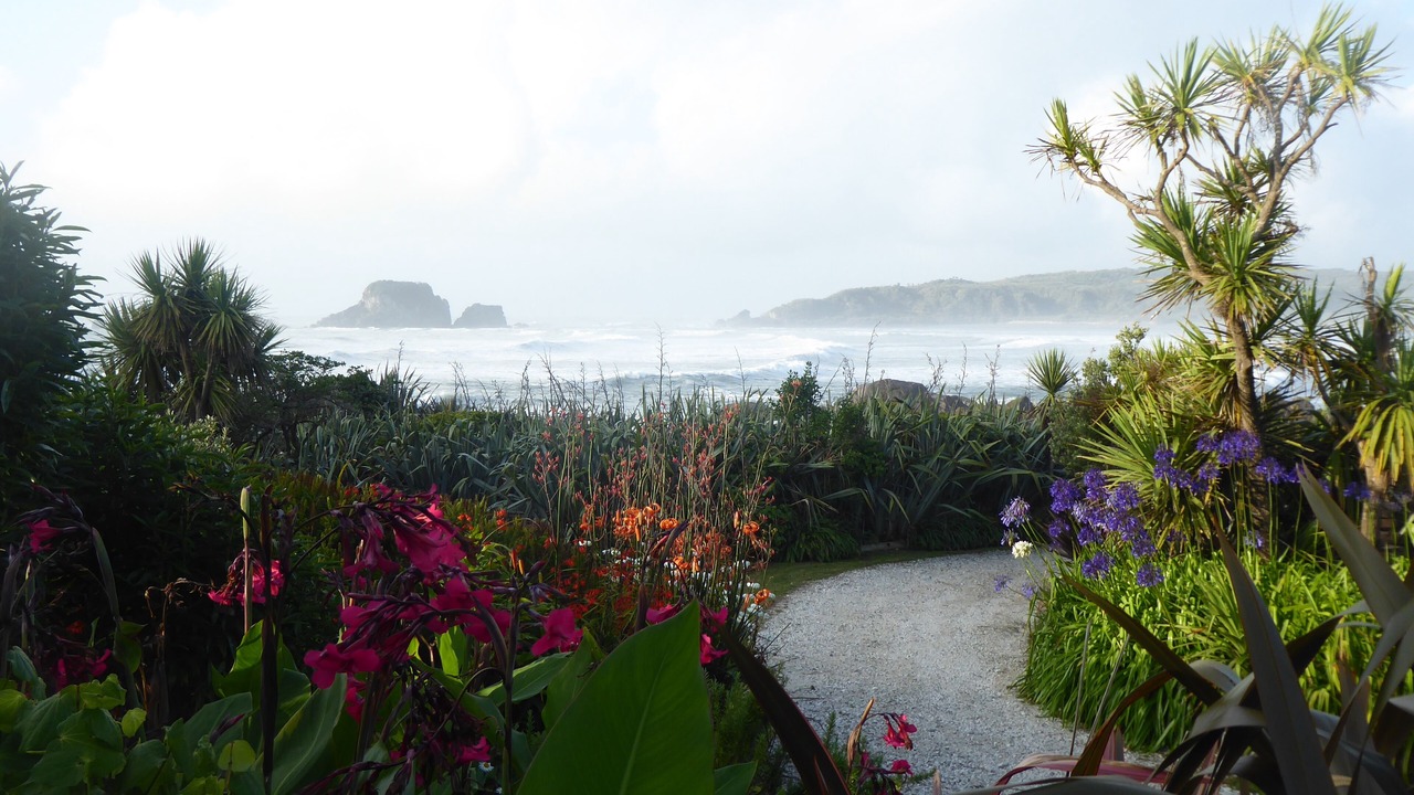 Photo of Outdoor in Cape Foulwind