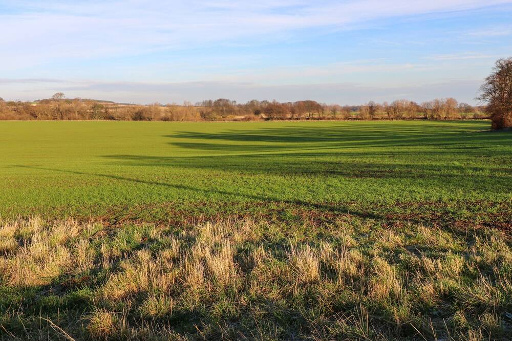Photo of Others in East Linton