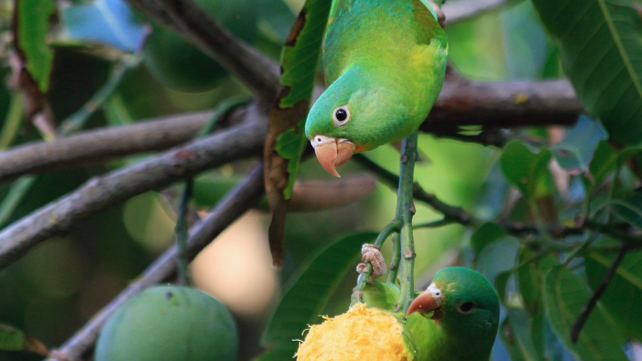 Photo of Outdoor in Playa Negra