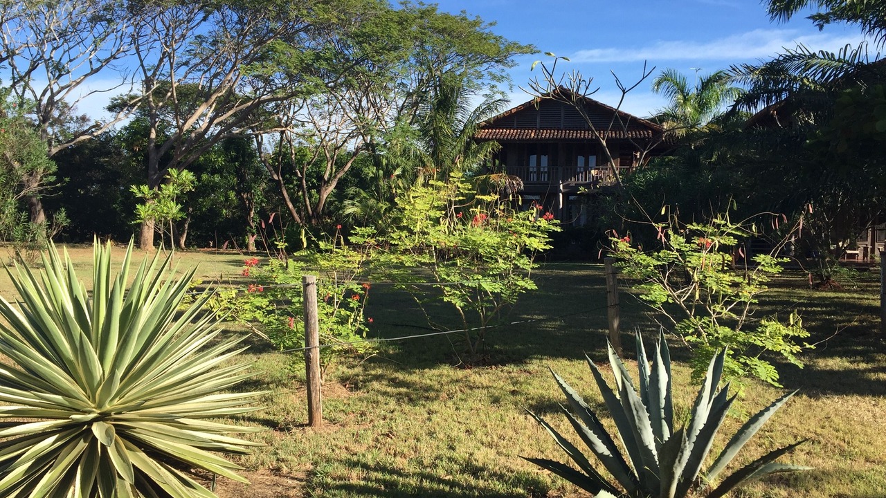 Photo of Outdoor in Playa Negra