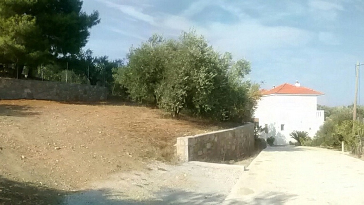 Photo of Outdoor in Nimfea