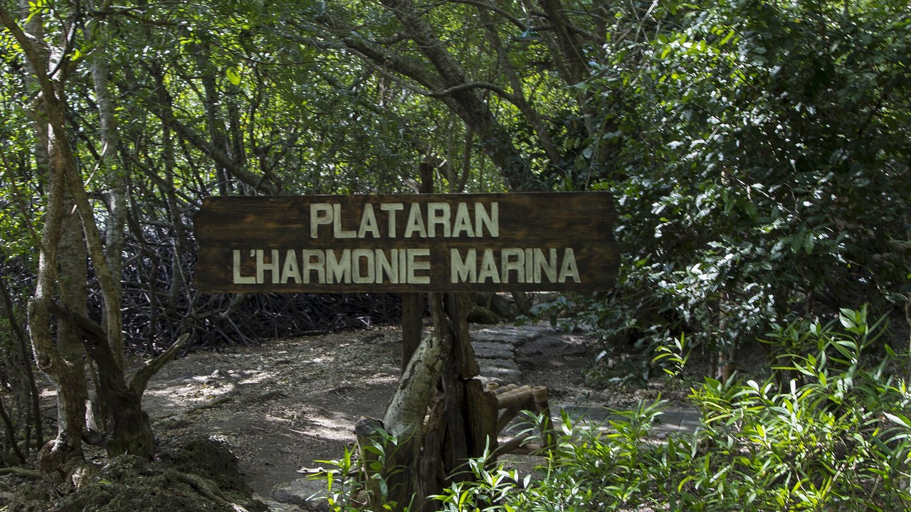 Photo of Outdoor in Sumberklampok