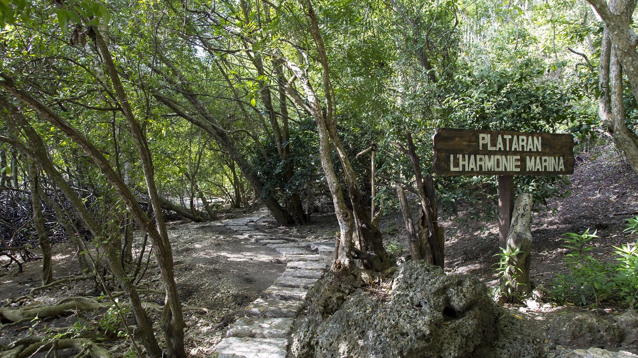 Photo of Outdoor in Sumberklampok