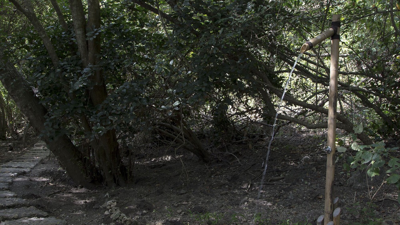 Photo of Outdoor in Sumberklampok