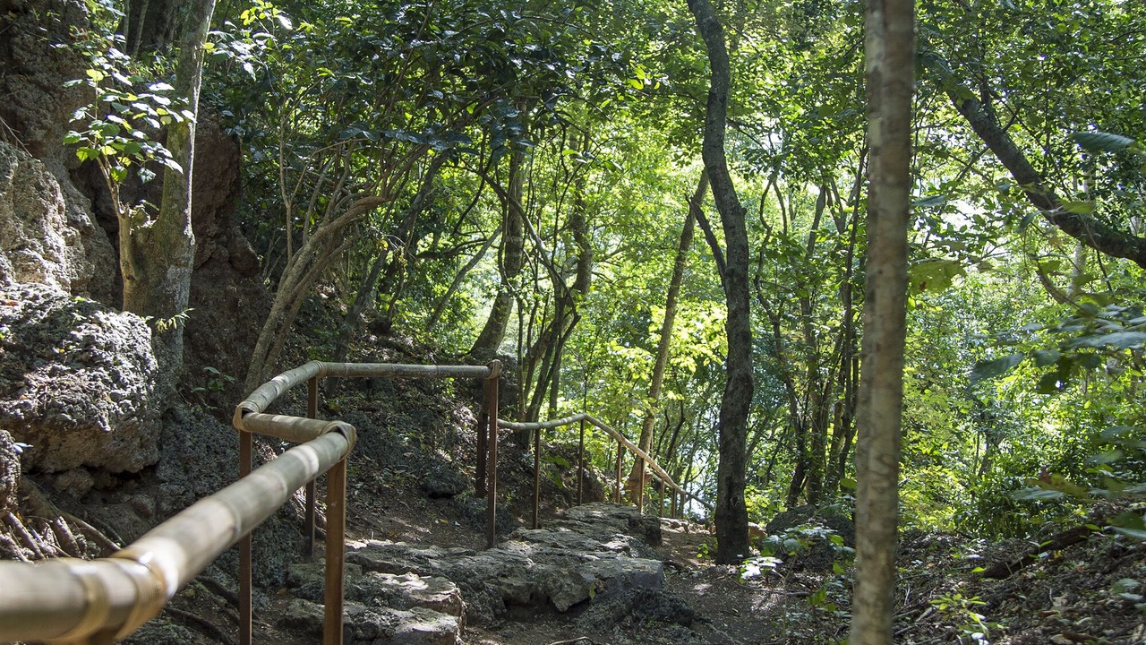Photo of Outdoor in Sumberklampok