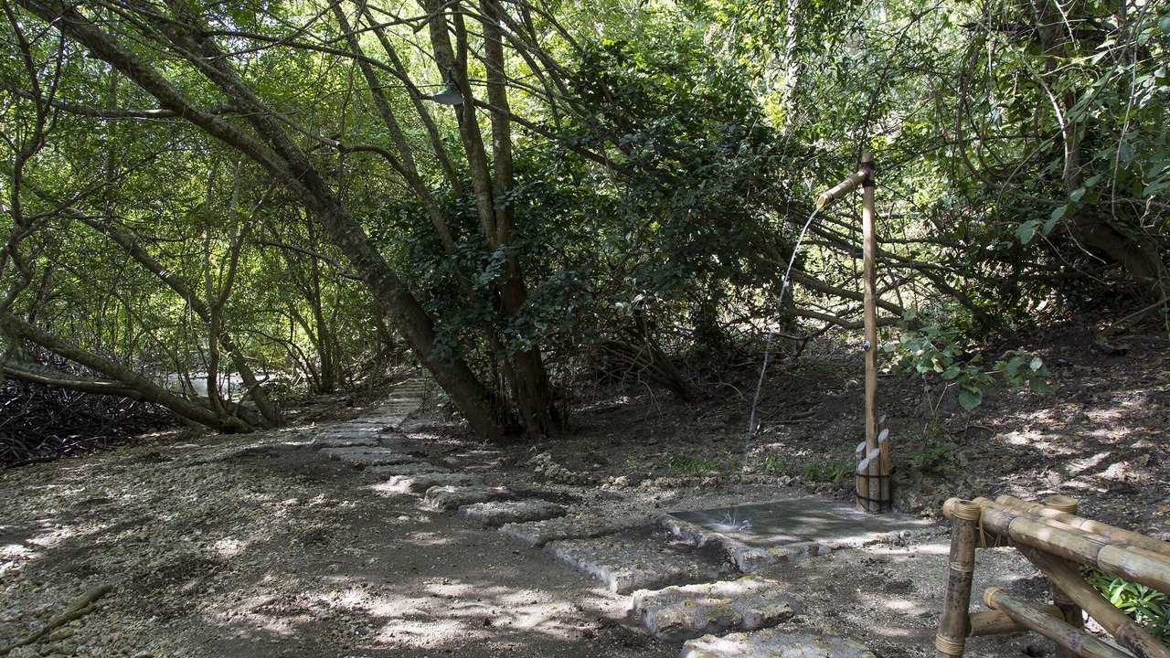 Photo of Outdoor in Sumberklampok