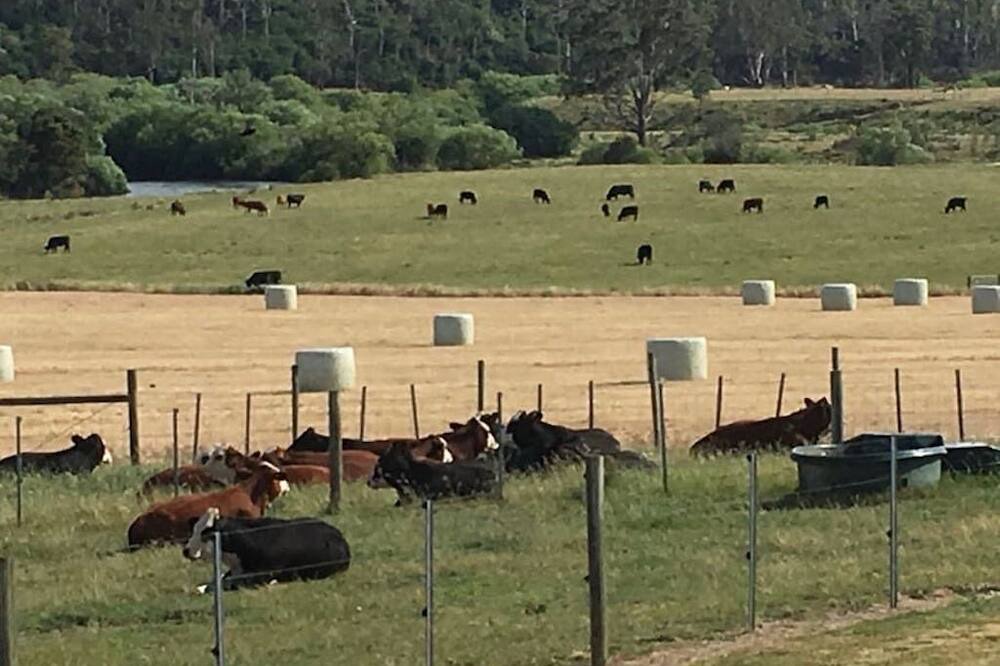 Photo of Others in Hadspen
