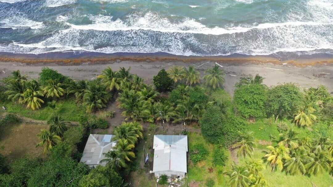 Photo of Outdoor in Tortuguero